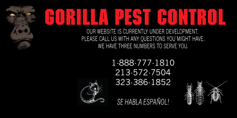 Gorilla Pest Control Reviews - Los Angeles, CA